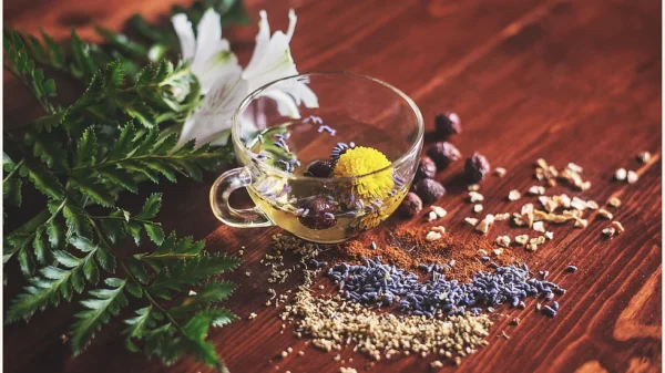 A cup of tea with herbs and nuts on the table.